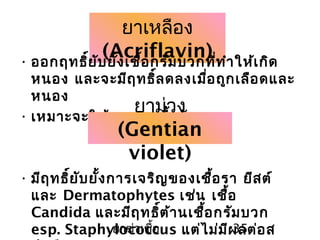 ยาฆ่าเชื้อ 35
ยาเหลือง
(Acriflavin)• ออกฤทธิ์ยับยั้งเชื้อกรัมบวกที่ทำาให้เกิด
หนอง และจะมีฤทธิ์ลดลงเมื่อถูกเลือดและ
หนอง
• เหมาะจะใช้ทาแผลเรื้อรัง
• มีฤทธิ์ยับยั้งการเจริญของเชื้อรา ยีสต์
และ Dermatophytes เช่น เชื้อ
Candida และมีฤทธิ์ต้านเชื้อกรัมบวก
esp. Staphylococcus แต่ไม่มีผลต่อส
ยาม่วง
(Gentian
violet)
 
