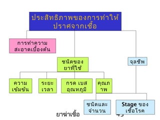 ยาฆ่าเชื้อ 43
ประสิทธิภาพของการทำาให้
ปราศจากเชื้อ
การทำาความ
สะอาดเบื้องต้น
ชนิดของ
ยาที่ใช้
ความ
เข้มข้น
ระยะ
เวลา
กรด เบส
อุณหภูมิ
คุณภ
าพ
จุลชีพ
ชนิดและ
จำานวน
Stage ของ
เชื้อโรค
 