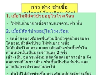 ยาฆ่าเชื้อ 48
การ ล้าง ฆ่าเชื้อ
อุปกรณ์ โรงเรือน (ต่อ)
1. เมื่อไม่มีสัตว์ป่วยอยู่ในโรงเรือน
• ให้พ่นนำ้ายาฆ่าเชื้อจากบนเพดาน ฝา พื้น
2. เมื่อมีสัตว์ป่วยอยู่ในโรงเรือน
• รดนำ้ายาฆ่าเชื้อลงพื้นด้วยฝักบัวรดนำ้าธรรมดา
โดยรอบตัวสัตว์ป่วย ไม่พ่นยาฆ่าเชื้อ
ใส่ตัวสัตว์โดยตรง และจะต้องล้างฆ่าเชื้อซำ้าใน
ตำาแหน่งนั้นเป็นประจำาวันละ 2 ครั้ง
เช้า- เย็น จนกระทั่งหมดสัตว์แสดงอาการป่าย จึง
ลดความถี่ในการล้าง ฆ่าเชื้อเป็นวันเว้นวัน และ
อาจเจือจางสารละลายลงได้
• ถัดไปให้ล้างฆ่าเชื้อ ทางเดิน อุปกรณ์การเลี้ยง
 