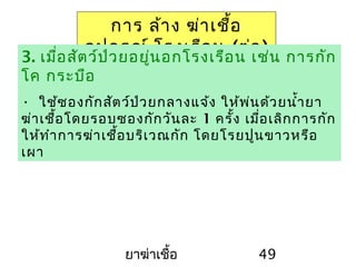 ยาฆ่าเชื้อ 49
การ ล้าง ฆ่าเชื้อ
อุปกรณ์ โรงเรือน (ต่อ)
3. เมื่อสัตว์ป่วยอยู่นอกโรงเรือน เช่น การกัก
โค กระบือ
• ใช้ซองกักสัตว์ป่วยกลางแจ้ง ให้พ่นด้วยนำ้ายา
ฆ่าเชื้อโดยรอบซองกักวันละ 1 ครั้ง เมื่อเลิกการกัก
ให้ทำาการฆ่าเชื้อบริเวณกัก โดยโรยปูนขาวหรือ
เผา
 