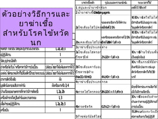 ยาฆ่าเชื้อหลัก รูปแบบและความเข้มข้น ระยะเวลาที่ใช้
1. สบู่และนำ้ายาซักฟอก 10แช่ทิ้งไว้ นาที
2. Oxidizingagentsนำ้ายาฆ่าเชื้อกลุ่ม
2aโซเดียมไฮโปคลอไรท์
ของเหลวเจือจางให้ได้ความ
2-3%เข้มข้นที่
10-30นาทีแต่ใช้ไม่ได้ก
มีสารอินทรีย์ปนอยู่มากเช่น
ในมูลสัตว์หรือซากสัตว์
2bแคลเซียมไฮโปคลอไรท์
2-3%ผงหรือของเหลวเจือจางที่
( 20 / )ใช้ผงกรัมลิตร
10-30นาทีแต่ใช้ไม่ได้ก
มีสารอินทรีย์ปนอยู่มากเช่น
ในมูลสัตว์หรือซากสัตว์
3ยาฆ่าเชื้อประเภทด่าง
3aโซเดียมไฮดรอกไซด์
( )โซดาไฟ 2%(20 / )กรัมลิตร
10 (นาทีห้ามใช้บนพื้น
)เป็นอลูมิเนียม
3bโซเดียมคาร์บอเนต
( )โซดาชะล้าง
(Na2CO310H2O) 4%(40 / )กรัมลิตร
10นาทีในกรณีที่มีสาร
อินทรีย์ปะปนมากเช่นมูล
30สัตว์หรือซากสัตว์ให้ใช้
นาที
4ยาฆ่าเชื้อประเภทกรด
4aกรดไฮโดรคลอริค2%(20 / )มิลลิลิตรลิตร
มีฤทธิ์กัดกร่อนควรเลือกใช้
เมื่อไม่มีทางเลือกอื่น
4bกรดซิตริค 0.2%(2 / )กรัมลิตร
30นาทีปลอดภัยสำาหร
ผ้าและร่างกายผู้ปฏิบัติงานที่
อาจปนเปื้อน
5ก๊าซฟอร์มัลดีไฮด์
15-24 .ชมต้องระวังเป็น
ต่อทางเดินหายใจผู้ปฏิบัติ
ชนิด มาตรการการทำาลายเชื้อ
ซากสัตว์ที่ตายจากไข้หวัดนก ฝังหรือเผา
พื้นคอกโรงเรือนวัสดุและอุปกรณ์ในโรงเรือน 1,2a,2b,3
ผู้ปฏิบัติงาน 1
วัสดุอุปกรณ์ไฟฟ้า 5
อ่างหรือถังเก็บนำ้าหรือคาดว่ามีการปนเปื้อน ปล่อยนำ้าออกให้แห้งและตากทิ้งไว้
แหล่งนำ้าผิดขนาดเล็กที่ใช้เลี้ยงสัตว์ปีกอย่างหนาแน่นปล่อยนำ้าออกให้แห้งและตากทิ้งไว้
อาหารสัตว์ที่เหลือ ฝัง
มูลสัตว์และของเสียจากฟาร์ม 3,4ฝังหรือเผาหรือ
บ้านเรือนของเกษตรกรที่คาดว่ามีการติดเชื้อ 1,2a,2b
เครื่องจักรกลใหญ่ในฟาร์มและยานพาหนะ 1,3
เสื้อผ้าของผู้ปฏิบัติงาน 1,2a,2b,3
เครื่องบิน 1
ตัวอย่างวิธีการและ
ยาฆ่าเชื้อ
สำาหรับโรคไข้หวัด
นก
 