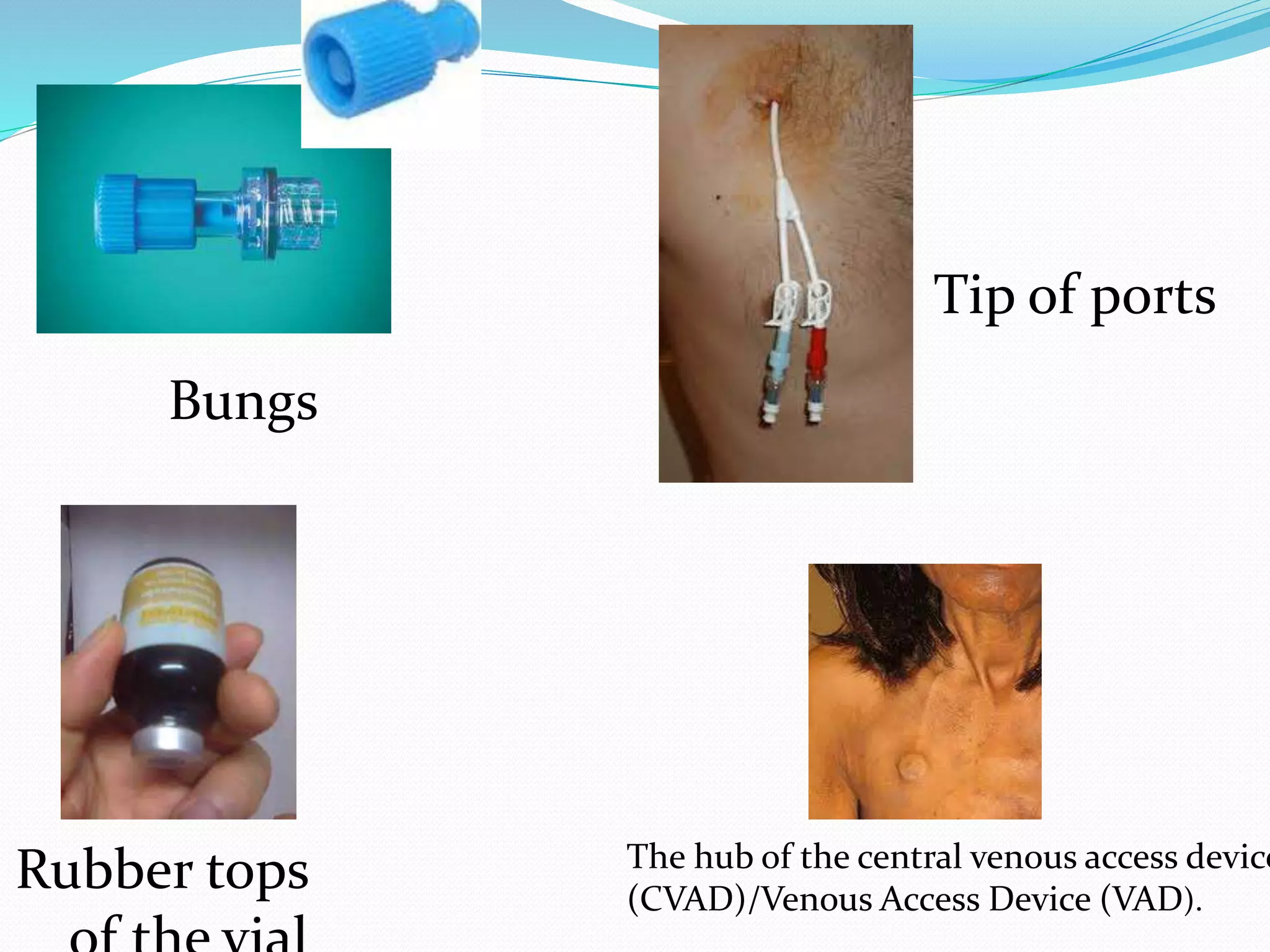 Tip of ports
Bungs
Rubber tops The hub of the central venous access device
(CVAD)/Venous Access Device (VAD).
 