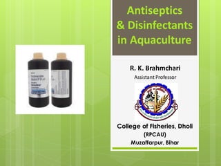 R. K. Brahmchari
Assistant Professor
College of Fisheries, Dholi
(RPCAU)
Muzaffarpur, Bihar
Antiseptics
& Disinfectants
in Aquaculture
 