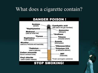 What does a cigarette contain?

 