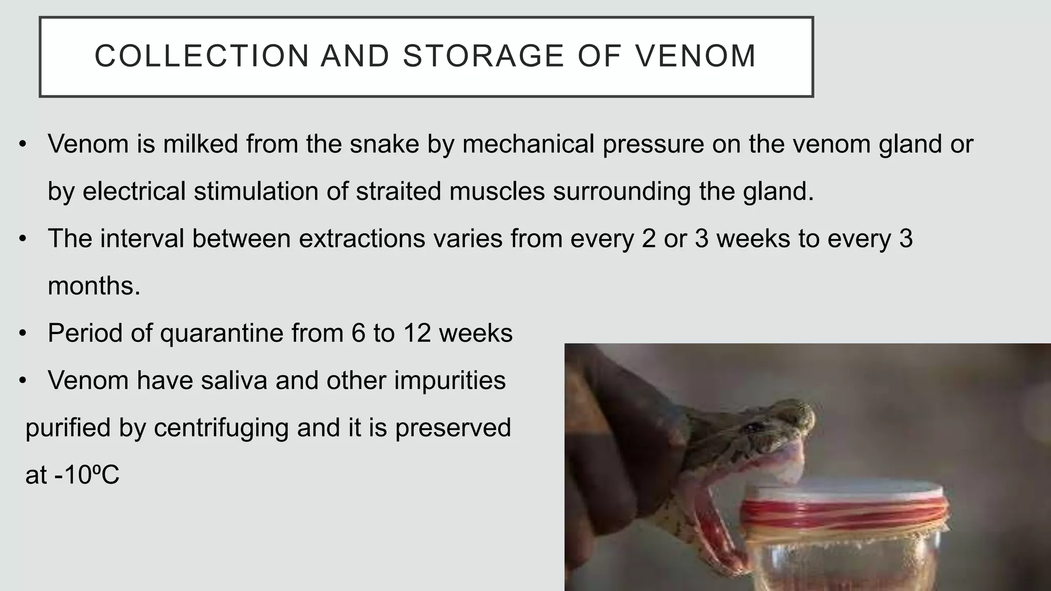 ANTISNAKE VENOM.pptx