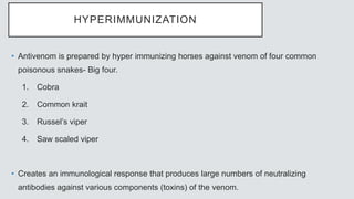 HYPERIMMUNIZATION
• Antivenom is prepared by hyper immunizing horses against venom of four common
poisonous snakes- Big four.
1. Cobra
2. Common krait
3. Russel’s viper
4. Saw scaled viper
• Creates an immunological response that produces large numbers of neutralizing
antibodies against various components (toxins) of the venom.
 