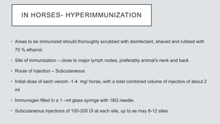 IN HORSES- HYPERIMMUNIZATION
• Areas to be immunized should thoroughly scrubbed with disinfectant, shaved and rubbed with
70 % ethanol.
• Site of immunization – close to major lymph nodes, preferably animal’s neck and back
• Route of injection – Subcutaneous
• Initial dose of each venom -1-4 mg/ horse, with a total combined volume of injection of about 2
ml
• Immunogen filled in a 1 –ml glass syringe with 18G needle.
• Subcutaneous injections of 100-200 Ül at each site, up to as may 8-12 sites.
 
