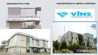 SERUM INSTITUTE, PUNE VINS BIOPRODUCTS LIMITED, HYDERABAD
 