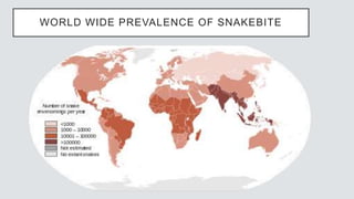 WORLD WIDE PREVALENCE OF SNAKEBITE
 