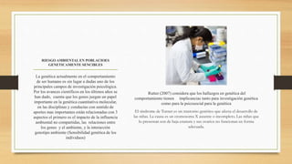 RIESGO AMBIENTAL EN POBLACIOES
GENETICAMENTE SENCIBLES
Rutter (2007) considera que los hallazgos en genética del
comportamiento tienen implicancias tanto para investigación genética
como para la psicosocial para la genética
El síndrome de Turner es un trastorno genético que afecta el desarrollo de
las niñas. La causa es un cromosoma X ausente o incompleto. Las niñas que
lo presentan son de baja estatura y sus ovarios no funcionan en forma
adecuada.
La genética actualmente en el comportamiento
de ser humano es sin lugar a dudas uno de los
principales campos de investigación psicológica.
Por los avances científicos en los últimos años se
han dado, cuenta que los genes juegan un papel
importante en la genética cuantitativa molecular,
en las disciplinas y conductas con sentido de
aportes mas importantes están relacionadas con 3
aspectos el primero es el impacto de la influencia
ambiental no compartidas, las relaciones entre
los genes y el ambiente, y la interacción
genotipo ambiente (Sensibilidad genética de los
individuos)
 