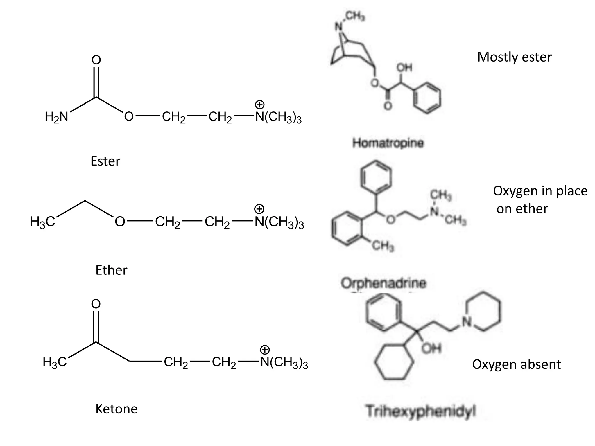 O 
H2N O 
CH2 CH2 N(CH3)3 
H3C O CH2 CH2 N(CH3)3 
O 
H3C CH2 CH2 N(CH3)3 
Mostly ester 
Oxygen in place 
on ether 
Oxygen absent 
Ester 
Ether 
Ketone 
 