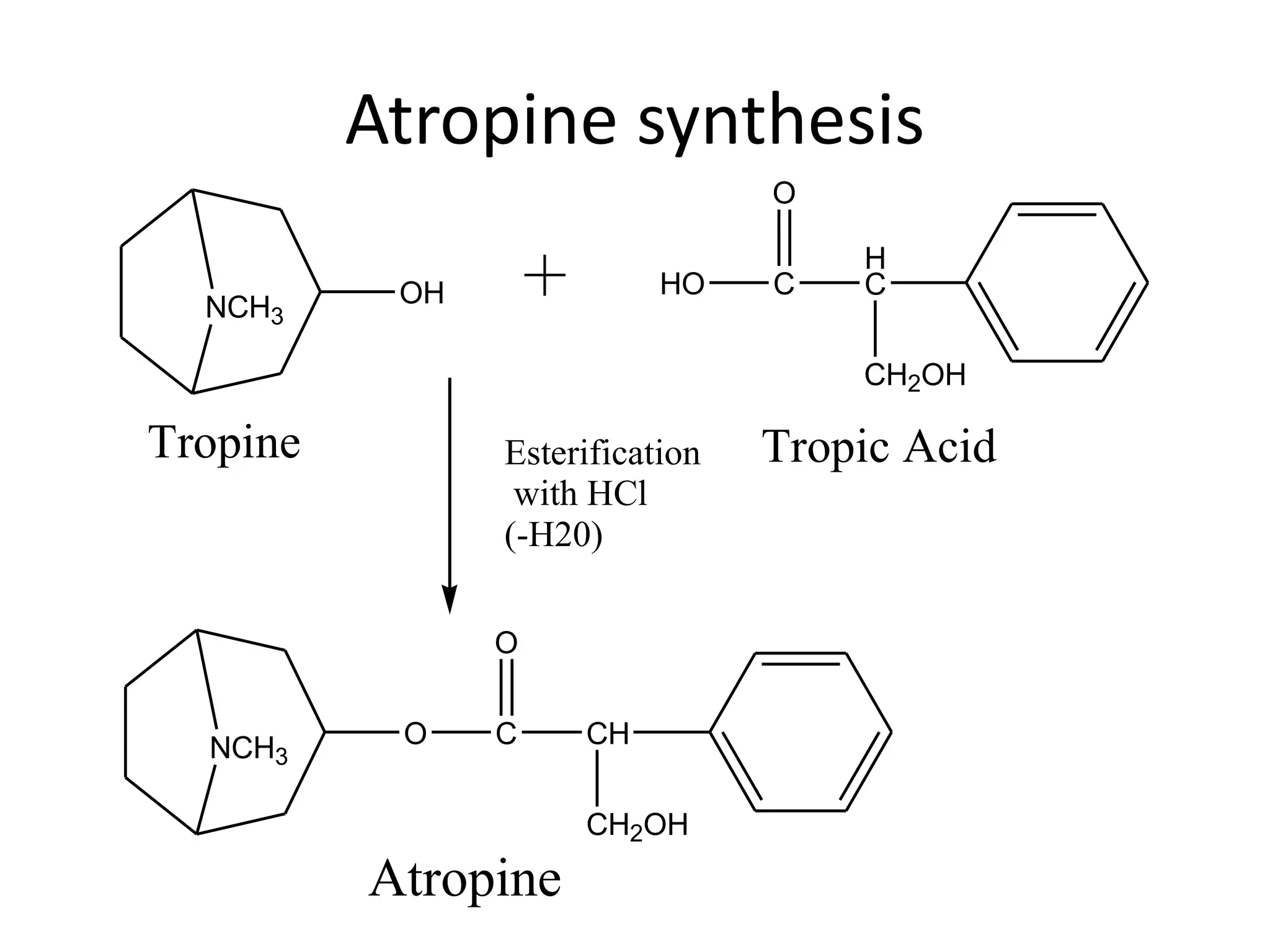 Atropine synthesis 
HC 
NCH3 
Esterification 
with HCl 
(-H20) 
NCH3 
O 
O C 
CH 
CH2OH 
OH 
CH2OH 
O 
HO C 
Tropine Tropic Acid 
Atropine 
 