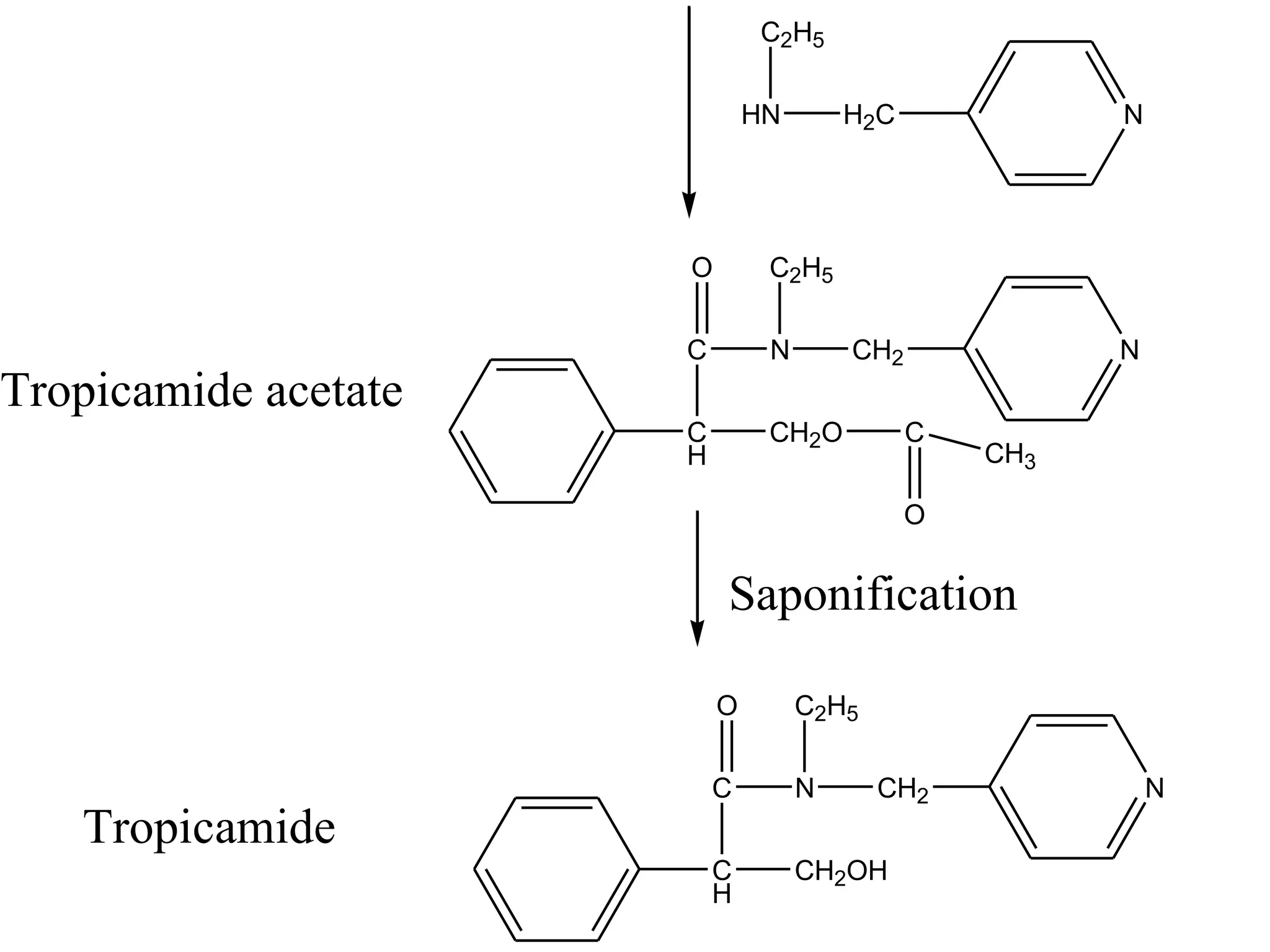 C2H5 
HN H2C N 
O 
C 
CH 
C2H5 
N CH2 N 
CH2O C 
O 
CH3 
Tropicamide acetate 
Saponification 
O 
C 
CH 
C2H5 
N CH2 N 
CH2OH 
Tropicamide 
 