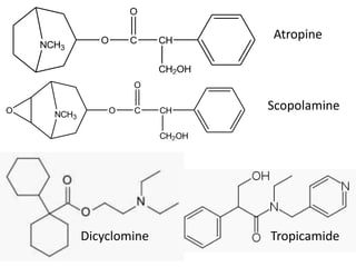 NCH3 
O 
O C 
CH 
CH2OH 
NCH3 
O 
O C 
CH 
CH2OH 
O 
Atropine 
Scopolamine 
Dicyclomine Tropicamide 
 