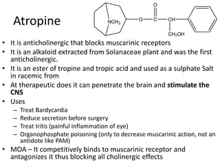 Atropine 
NCH3 
O 
O C 
• It is anticholinergic that blocks muscarinic receptors 
• It is an alkaloid extracted from Solanaceae plant and was the first 
anticholinergic. 
• It is an ester of tropine and tropic acid and used as a sulphate Salt 
in racemic from 
• At therapeutic does it can penetrate the brain and stimulate the 
CNS 
• Uses 
– Treat Bardycardia 
– Reduce secretion before surgery 
– Treat Iritis (painful inflammation of eye) 
– Organophosphate poisoning (only to decrease muscarinic action, not an 
antidote like PAM) 
• MOA – It competitively binds to muscarinic receptor and 
antagonizes it thus blocking all cholinergic effects 
CH 
CH2OH 
 
