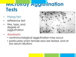 Microtray Agglutination
Tests
• Friberg Test
• refference test
• titre, type, and
degree of
agglutination
• drawback:
• nonimmunological agglutination may occur
• particularly when female sera are tested, and at
low serum dilutions
 