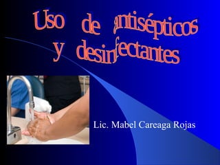 Lic. Mabel Careaga Rojas
 