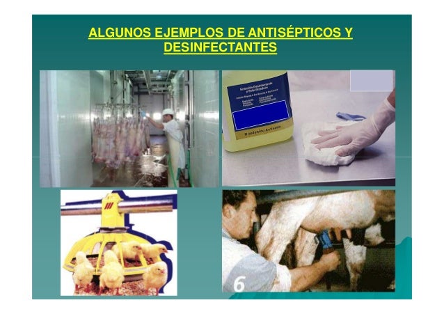 Antisépticos Y Desinfectantes En Medicina Veterinaria Modo De Compat