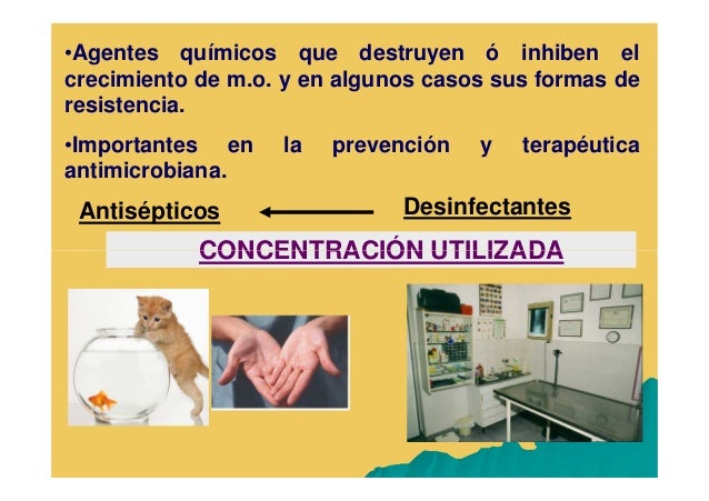 Antisépticos Y Desinfectantes En Medicina Veterinaria Modo De Compat