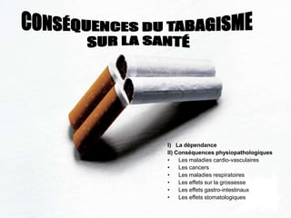 Résumé loi anti tabac