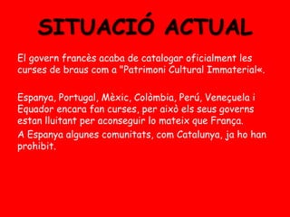 SITUACIÓ ACTUAL
El govern francès acaba de catalogar oficialment les
curses de braus com a "Patrimoni Cultural Immaterial«.
Espanya, Portugal, Mèxic, Colòmbia, Perú, Veneçuela i
Equador encara fan curses, per això els seus governs
estan lluitant per aconseguir lo mateix que França.
A Espanya algunes comunitats, com Catalunya, ja ho han
prohibit.

 