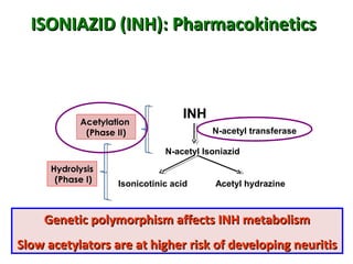 ISONIAZID (INH): PharmacokineticsISONIAZID (INH): Pharmacokinetics
Acetylation
(Phase II)
Hydrolysis
(Phase I) Isonicotinic acid
INH
N-acetyl transferase
N-acetyl Isoniazid
Acetyl hydrazine
Genetic polymorphism affects INH metabolismGenetic polymorphism affects INH metabolism
Slow acetylators are at higher risk of developing neuritisSlow acetylators are at higher risk of developing neuritis
 