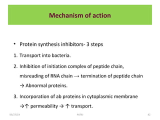 Mechanism of action
• Protein synthesis inhibitors- 3 steps
1. Transport into bacteria.
2. Inhibition of initiation complex of peptide chain,
misreading of RNA chain → termination of peptide chain
→ Abnormal proteins.
3. Incorporation of ab proteins in cytoplasmic membrane
→↑ permeability → ↑ transport.
03/27/19 42PATKI
 