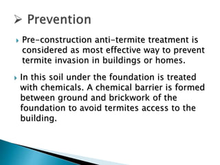 Tyramite Invation antitermite treatment ppt.pptx