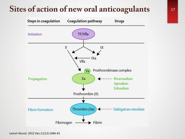 Novel Oral Anticoagulants for Stroke Prevention in Patients With Atrial ...