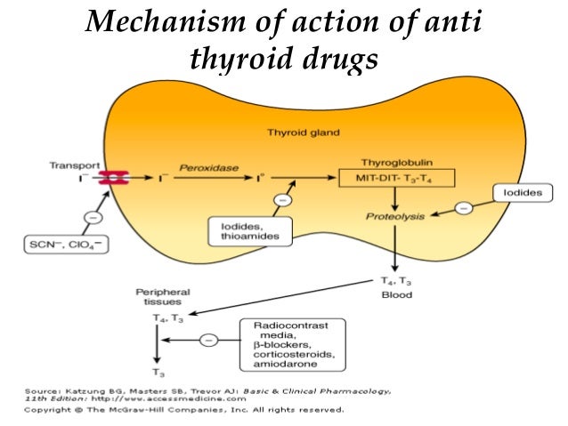 AntiThyroid Drugs