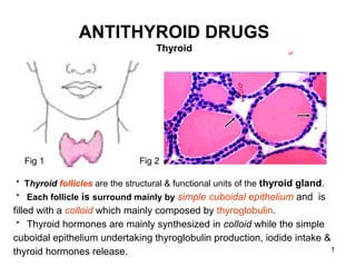 ANTITHYROID DRUGS
                                    Thyroid




  Fig 1                         Fig 2

＊ Thyroid follicles are the structural & functional units of the thyroid gland.
＊ Each follicle is surround mainly by simple cuboidal epithelium and is
filled with a colloid which mainly composed by thyroglobulin.
＊ Thyroid hormones are mainly synthesized in colloid while the simple
cuboidal epithelium undertaking thyroglobulin production, iodide intake &
thyroid hormones release.                                                 1
 