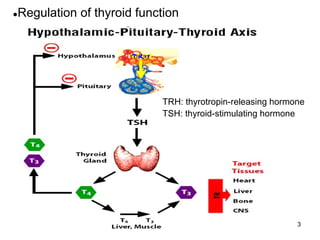 ●Regulation   of thyroid function




                             TRH: thyrotropin-releasing hormone
                             TSH: thyroid-stimulating hormone




                                                             3
 