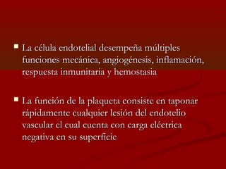  La célula endotelial ddeesseemmppeeññaa mmúúllttiipplleess 
ffuunncciioonneess mmeeccáánniiccaa,, aannggiiooggéénneessiiss,, iinnffllaammaacciióónn,, 
rreessppuueessttaa iinnmmuunniittaarriiaa yy hheemmoossttaassiiaa 
 LLaa ffuunncciióónn ddee llaa ppllaaqquueettaa ccoonnssiissttee eenn ttaappoonnaarr 
rrááppiiddaammeennttee ccuuaallqquuiieerr lleessiióónn ddeell eennddootteelliioo 
vvaassccuullaarr eell ccuuaall ccuueennttaa ccoonn ccaarrggaa eellééccttrriiccaa 
nneeggaattiivvaa eenn ssuu ssuuppeerrffiicciiee 
 