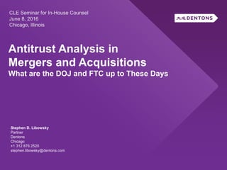 Antitrust Analysis in
Mergers and Acquisitions
What are the DOJ and FTC up to These Days
CLE Seminar for In-House Counsel
June 8, 2016
Chicago, Illinois
Stephen D. Libowsky
Partner
Dentons
Chicago
+1 312 876 2520
stephen.libowsky@dentons.com
 