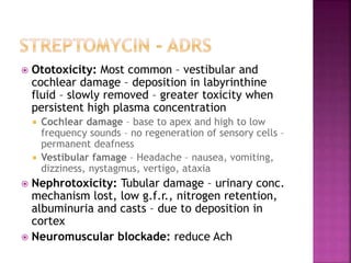  Ototoxicity: Most common – vestibular and
cochlear damage – deposition in labyrinthine
fluid – slowly removed – greater toxicity when
persistent high plasma concentration
 Cochlear damage – base to apex and high to low
frequency sounds – no regeneration of sensory cells –
permanent deafness
 Vestibular famage – Headache – nausea, vomiting,
dizziness, nystagmus, vertigo, ataxia
 Nephrotoxicity: Tubular damage – urinary conc.
mechanism lost, low g.f.r., nitrogen retention,
albuminuria and casts – due to deposition in
cortex
 Neuromuscular blockade: reduce Ach
 