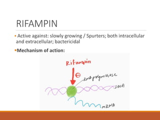 RIFAMPIN
 Active against: slowly growing / Spurters; both intracellular
and extracellular; bactericidal
Mechanism of action:
 