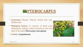 PTEROCARPUS
• Synonyms: Bijasal, Vijaysar Indian kino tree,
Malbar kino.
• Biological Source: It consists of dried juice
obtained by making vertical incisions to the stem
bark of the plant Pterocarpus marsupium.
• Family: Leguminosae.
ANUBHAV GUPTA 12
 
