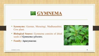 GYMNEMA
• Synonyms: Gurmar, Merasingi, Madhunashini,
Cow plant.
• Biological Source: Gymnema consists of dried
seeds of Gymnema sylvestre.
• Family: Apocynaceae.
ANUBHAV GUPTA 16
 