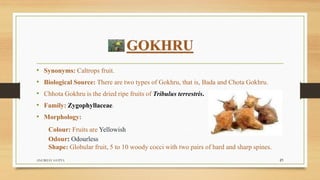 GOKHRU
• Synonyms: Caltrops fruit.
• Biological Source: There are two types of Gokhru, that is, Bada and Chota Gokhru.
• Chhota Gokhru is the dried ripe fruits of Tribulus terrestris.
• Family: Zygophyllaceae.
• Morphology:
Colour: Fruits are Yellowish
Odour: Odourless
Shape: Globular fruit, 5 to 10 woody cocci with two pairs of hard and sharp spines.
ANUBHAV GUPTA 21
 