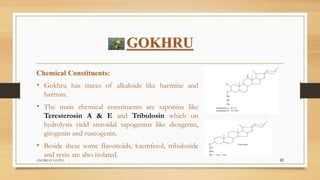 GOKHRU
Chemical Constituents:
• Gokhru has traces of alkaloids like harmine and
harman.
• The main chemical constituents are saponins like
Teresterosin A & E and Tribulosin which on
hydrolysis yield steroidal sapogenins like diosgenin,
gitogenin and ruscogenin.
• Beside these some flavonoids, kaemferol, tribuloside
and resin are also isolated.
ANUBHAV GUPTA 22
 