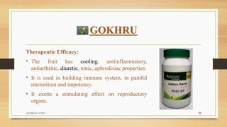 GOKHRU
Therapeutic Efficacy:
• The fruit has cooling, antiinflammatory,
antiarthritic, diuretic, tonic, aphrodisiac properties.
• It is used in building immune system, in painful
micturition and impotency.
• It exerts a stimulating effect on reproductory
organs.
ANUBHAV GUPTA 23
 
