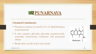 PUNARNAVA
Chemical Constituents:
• Punarnava consists of nearly 0.1% of alkaloid known
as punarnavine.
• It also contains phenolic glycoside punarnavoside,
rotenoids, boeravinone, borhavine and potassium
nitrate.
• Beside these ursolic acid is also found.
ANUBHAV GUPTA 25
Borhavine
 