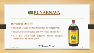 PUNARNAVA
Therapeutic Efficacy:
• The herb is used as diuretic and as an expectorant.
• Punarnava is stomachic and prescribed in jaundice.
• It is also treats weak digestive power, enlarged
spleen and abdominal pains.
ANUBHAV GUPTA 26
 