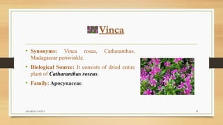 Vinca
• Synonyms: Vinca rosea, Catharanthus,
Madagascar periwinkle.
• Biological Source: It consists of dried entire
plant of Catharanthus roseus.
• Family: Apocynaceae.
ANUBHAV GUPTA 3
 