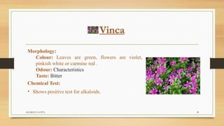 Vinca
Morphology:
Colour: Leaves are green, flowers are violet,
pinkish white or carmine red .
Odour: Characteristics
Taste: Bitter
Chemical Test:
• Shows positive test for alkaloids.
ANUBHAV GUPTA 4
 