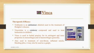 Vinca
Therapeutic Efficacy:
• Vinblastin is an antitumour alkaloid used in the treatment of
Hodgkin’s disease.
• Vincristine is a cytotoxic compound and used to treat
leukaemia in children.
• Vinca is used in herbal practice for its astringent and tonic
properties in menorrhagia and in haemorrhages generally..
• Also used in treatment of sore-throat, inflamed tonsils,
bleeding piles, it may also be used as a gargle.
ANUBHAV GUPTA 6
 