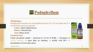 Podophyllum
Morphology:
Podophyllum rhizomes are subcylindrical pieces of 5–20 cm length and 5–6
mm thickness having internode.
Colour: Dark reddish brown
Odour: Characteristic
Taste: Bitter-Acrid
Chemical Test:
Finely powdered sample + dissolved in 10 ml of KOH → formation of
yellow solution → turns dark on standing → acidify with HCl →
precipitation of resin takes place.
ANUBHAV GUPTA 8
 