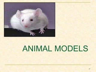 ANIMAL MODELS 
27 
 