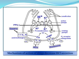 Mechanism of action of drugs decrease HCl secretion
 