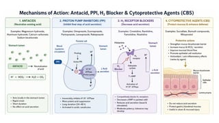 Comprehensive Overview of Anti-Ulcer Drugs and Therapies for Peptic ...